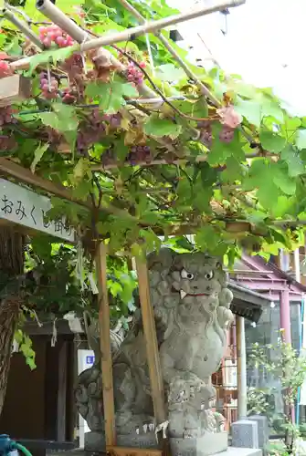 菊名神社の狛犬