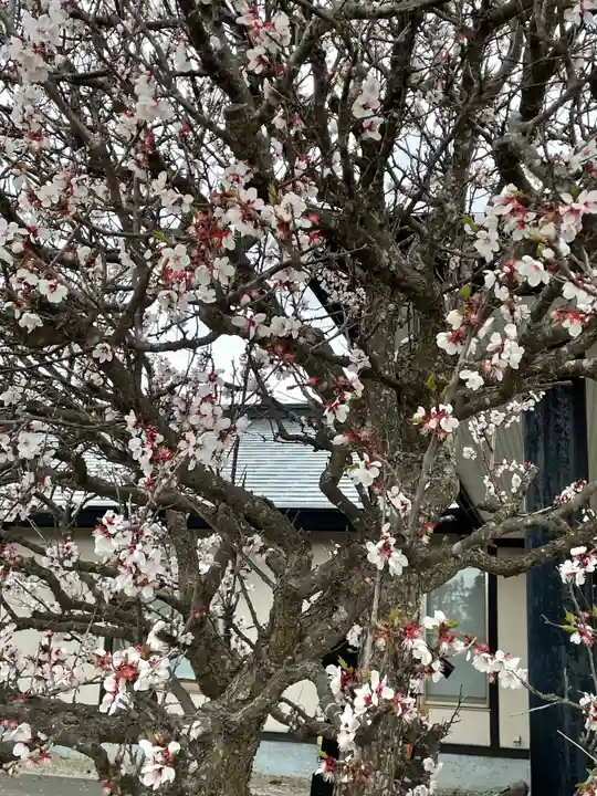 北海道東照宮の自然