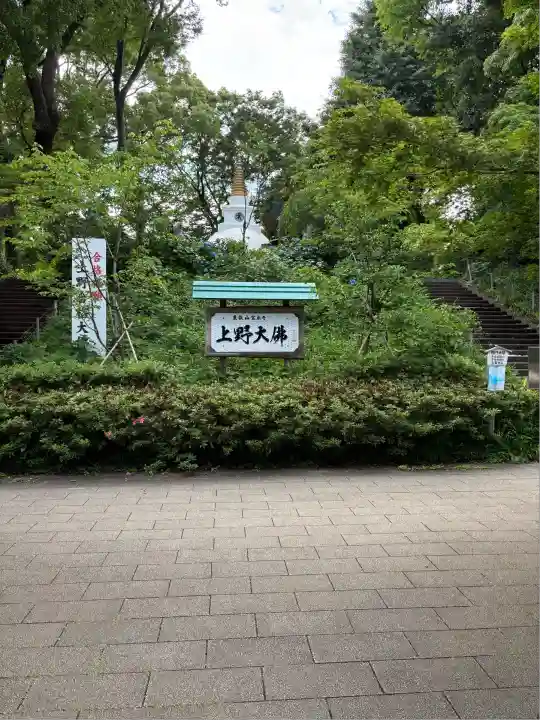 上野大佛(東京都)