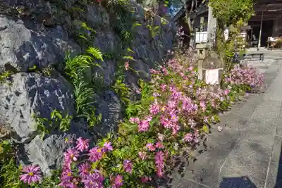 金生山 明星輪寺(岐阜県)