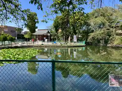 岩崎弁財天(埼玉県)