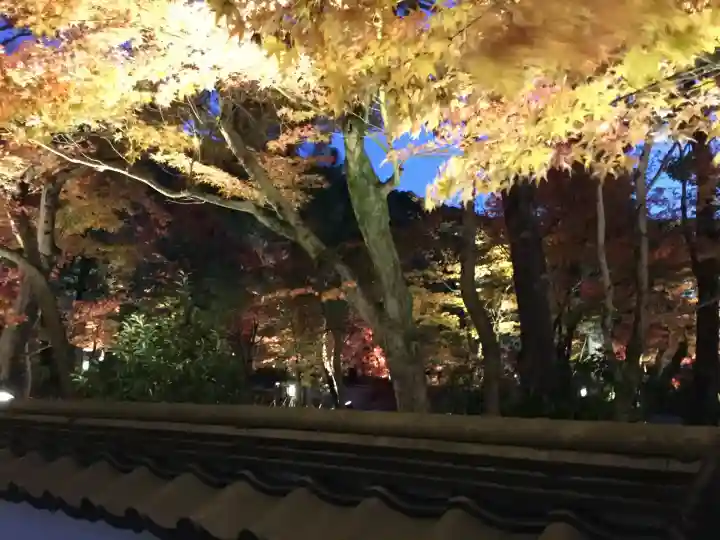禅林寺(永観堂)(京都府)
