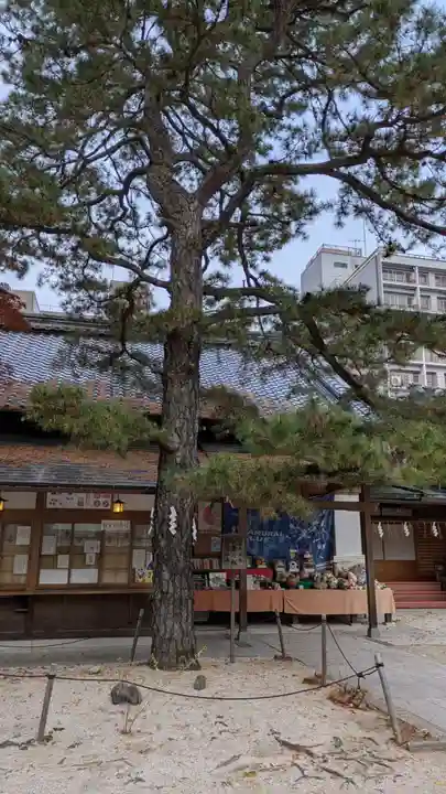 白峯神宮(京都府)