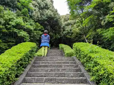 冨士社（富士社）の自然