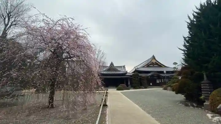 流泉寺のその他建物