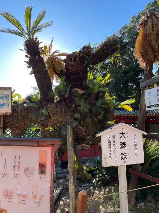 久能山東照宮の自然