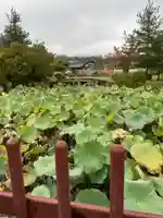 天龍寺(京都府)