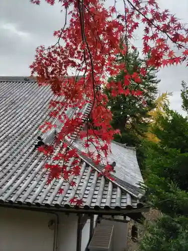 華嚴院の本殿・本堂