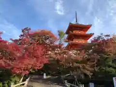 清水寺(京都府)