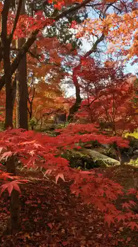 禅林寺（永観堂）(京都府)
