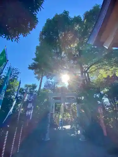 亀ケ池八幡宮のその他建物