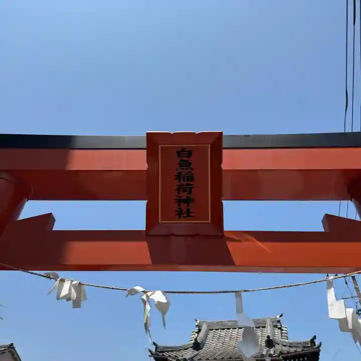白魚稲荷神社の{uncategorized: "未分類", other: "その他", undefined: "問題あり", building: "その他建物", grave: "お墓", sacred_gate: "鳥居", guardian: "狛犬", statue: "像", buddha: "仏像", history: "歴史", nature: "自然", garden: "庭園", animal: "動物", pagoda: "塔", temizu: "手水舎", mountain_gate: "山門・神門", sanctuary: "本殿・本堂", subordinate: "末社・摂社", art: "芸術", scenery: "景色", jizo: "地蔵", ema: "絵馬", goshuin: "御朱印", omikuji: "おみくじ", items: "授与品その他", amulet: "お守り", goshuincho: "御朱印帳", eats: "食事", festival: "お祭り", votive_dance: "神楽", shichigosan: "七五三参", wedding: "結婚式", experience: "体験その他", initially: "初詣", around: "周辺", anti_infection: "感染症対策"}