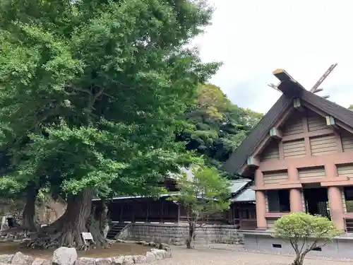 安房神社(千葉県)