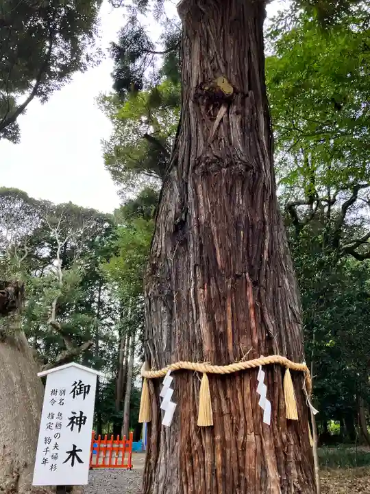 息栖神社(茨城県)