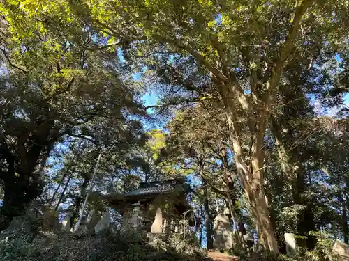 飯綱神社(愛宕神社奥社)(茨城県)