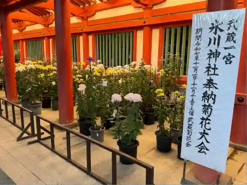 武蔵一宮氷川神社(埼玉県)