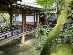 禅林寺（永観堂）(京都府)