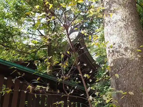 城山熊野神社の本殿・本堂