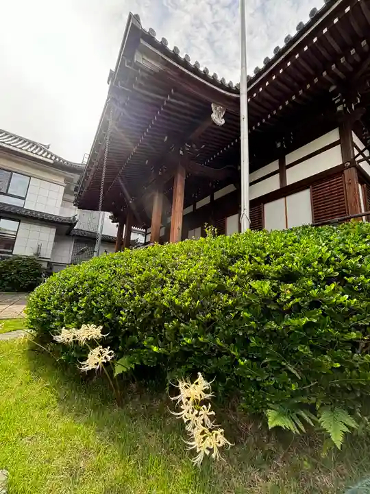 光永寺(長崎県)