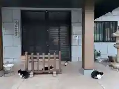 白金氷川神社の動物