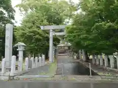 石井神明社の鳥居