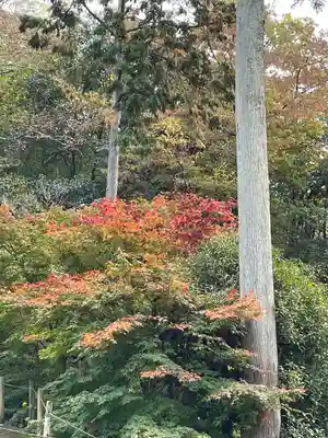 鏑射寺(兵庫県)