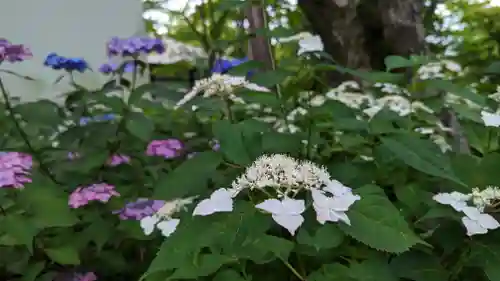 真正極楽寺（真如堂）(京都府)