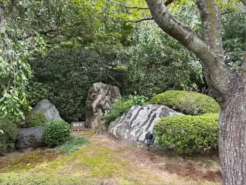 退蔵院(京都府)