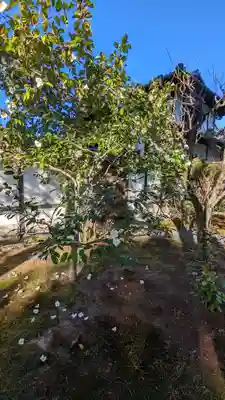 一華院(京都府)