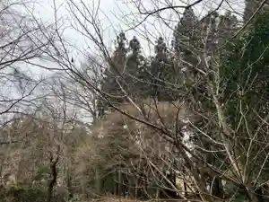 大宮温泉神社(栃木県)(2024年01月14日(日) 20時47分17秒投稿)