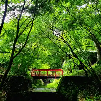 普門寺(切り絵御朱印発祥の寺)(愛知県)