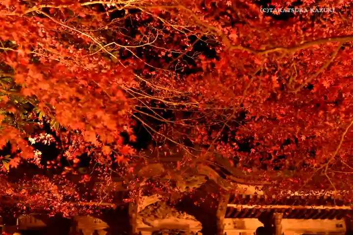 大山寺(神奈川県)