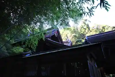美保神社の本殿・本堂