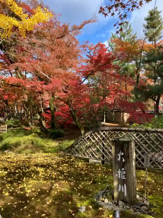 宝厳院(京都府)