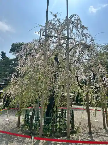 大國魂神社(東京都)