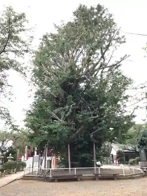 千葉寺のその他建物