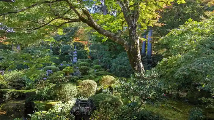 三千院門跡(京都府)