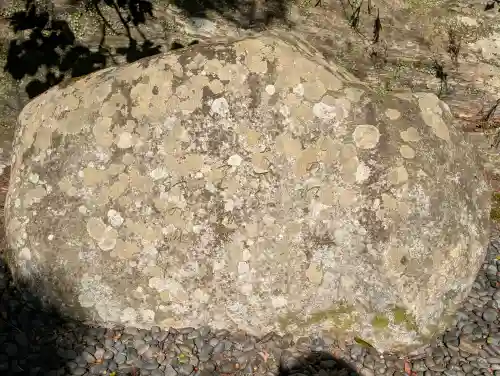 丹生川上神社（中社）の{uncategorized: "未分類", other: "その他", undefined: "問題あり", building: "その他建物", grave: "お墓", sacred_gate: "鳥居", guardian: "狛犬", statue: "像", buddha: "仏像", history: "歴史", nature: "自然", garden: "庭園", animal: "動物", pagoda: "塔", temizu: "手水舎", mountain_gate: "山門・神門", sanctuary: "本殿・本堂", subordinate: "末社・摂社", art: "芸術", scenery: "景色", jizo: "地蔵", ema: "絵馬", goshuin: "御朱印", omikuji: "おみくじ", items: "授与品その他", amulet: "お守り", goshuincho: "御朱印帳", eats: "食事", festival: "お祭り", votive_dance: "神楽", shichigosan: "七五三参", wedding: "結婚式", experience: "体験その他", initially: "初詣", around: "周辺", anti_infection: "感染症対策"}