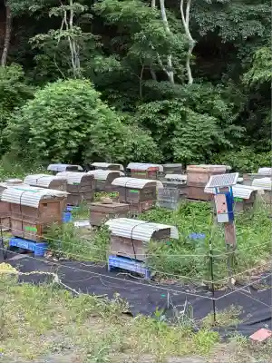 金蛇水神社(宮城県)