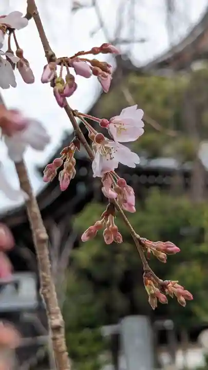 満願寺(京都府)