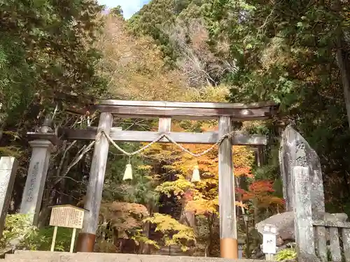 戸隠神社宝光社の鳥居