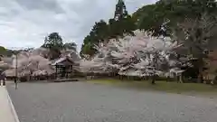 醍醐寺の自然