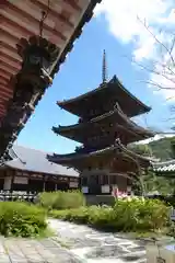 南法華寺（壷阪寺）の建物その他