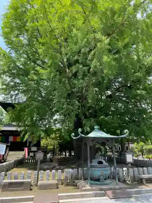 鑁阿寺(栃木県)