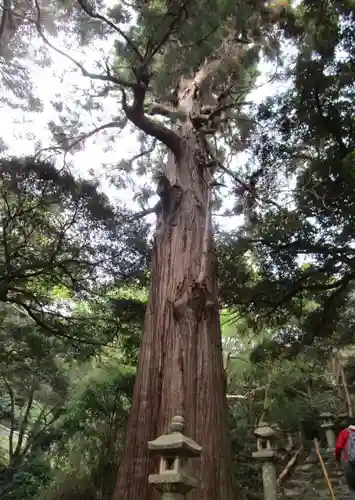 万松院(長崎県)