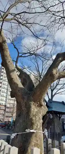 阿邪訶根神社(福島県)