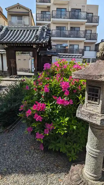 日體寺(京都府)