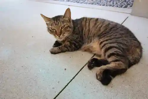 山梨縣護國神社の動物