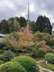 雲龍院(京都府)