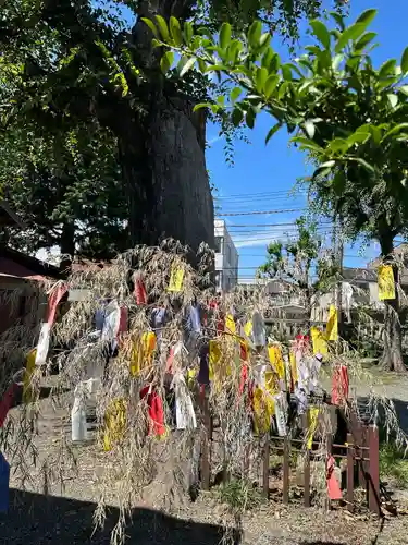 日野八坂神社(東京都)